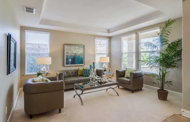 Design Portfolio contemporary-living-room