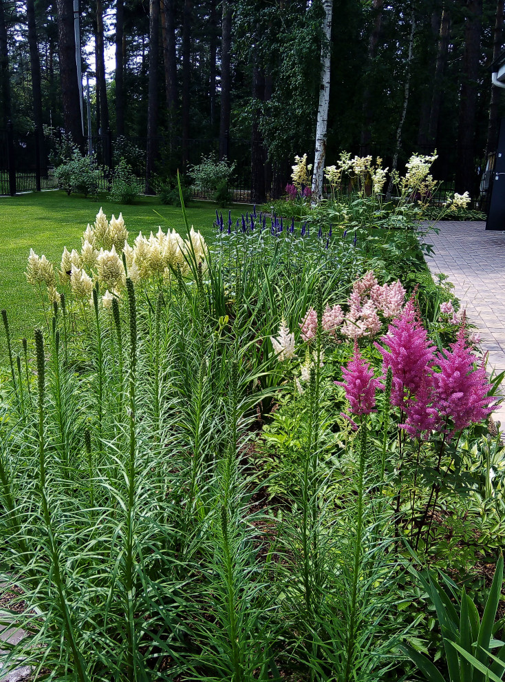 Цветники под пологом леса