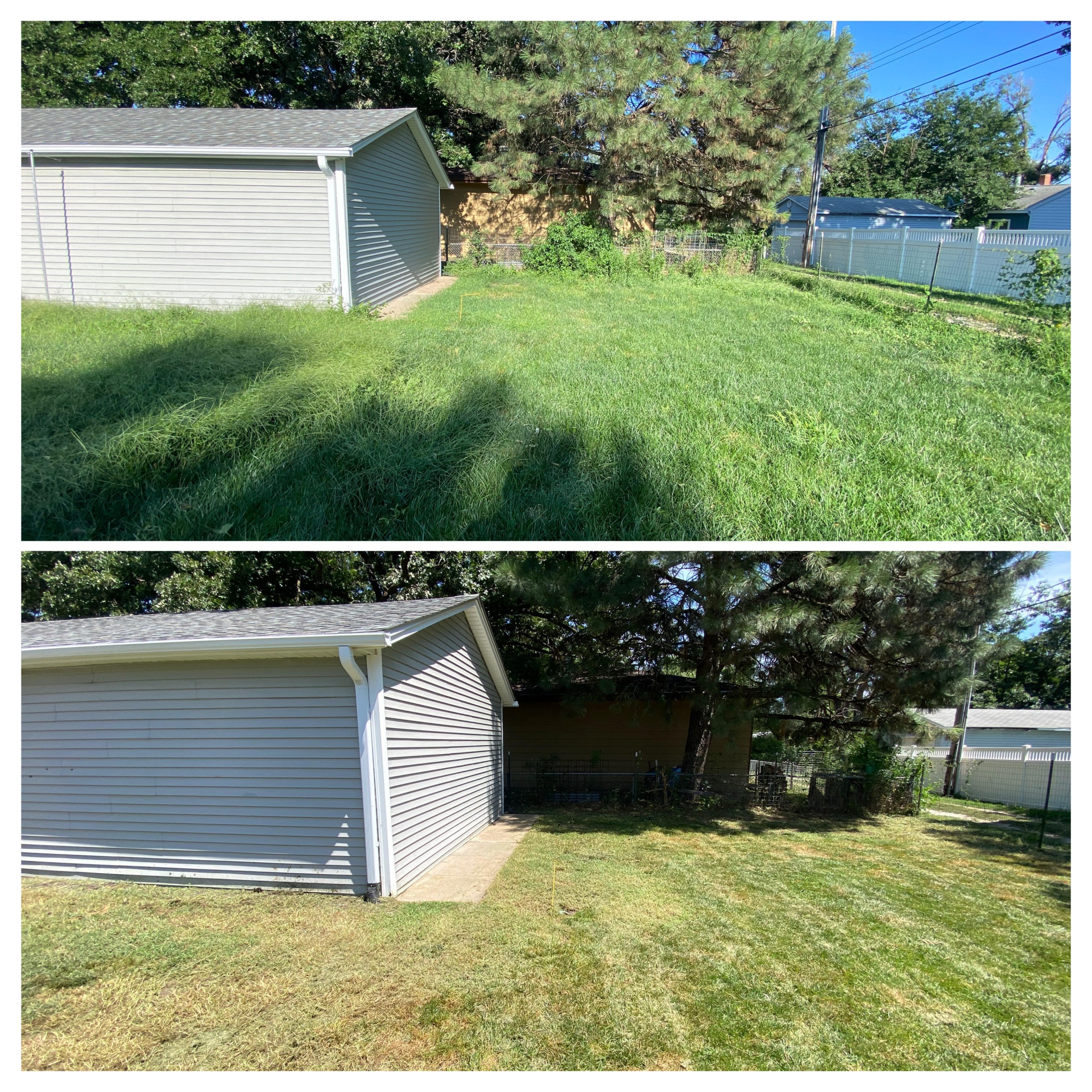 Mowing & Cleanup 1
