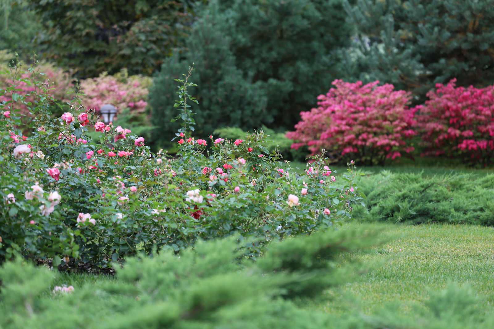 В центре круга