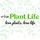 Urban Plant Life