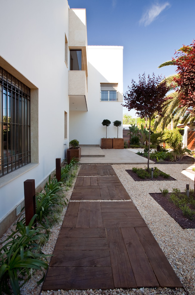 This is an example of a contemporary side yard partial sun xeriscape in Seville with a garden path.