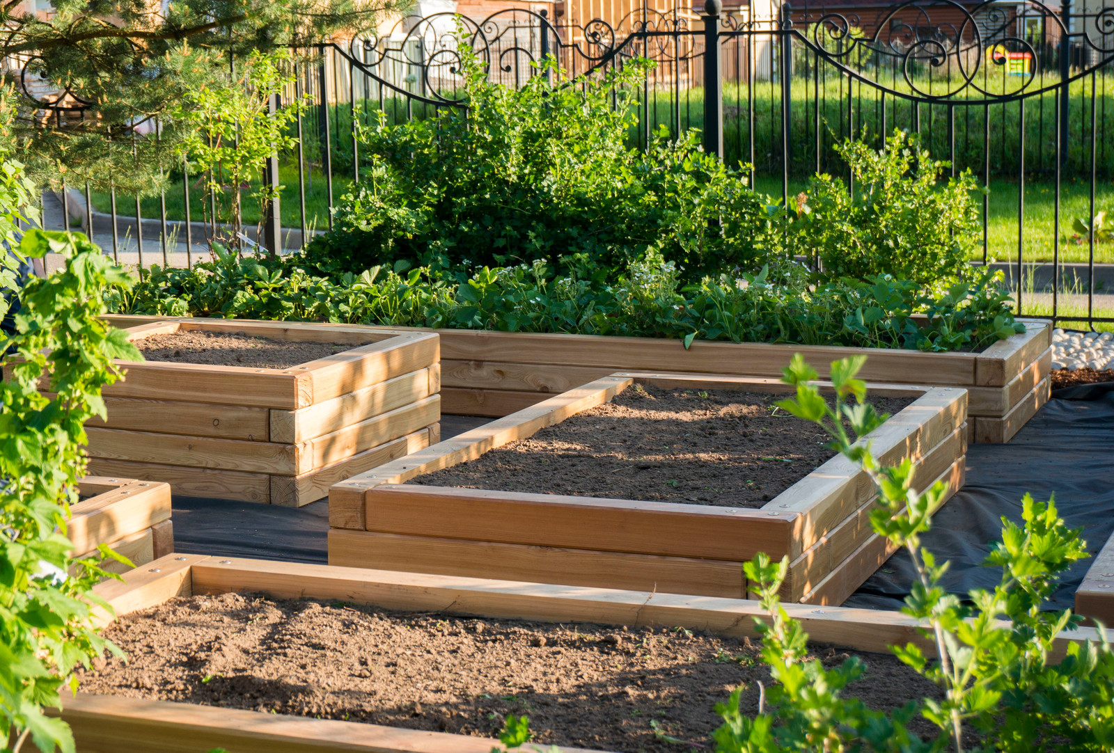 Грядки из лиственницы