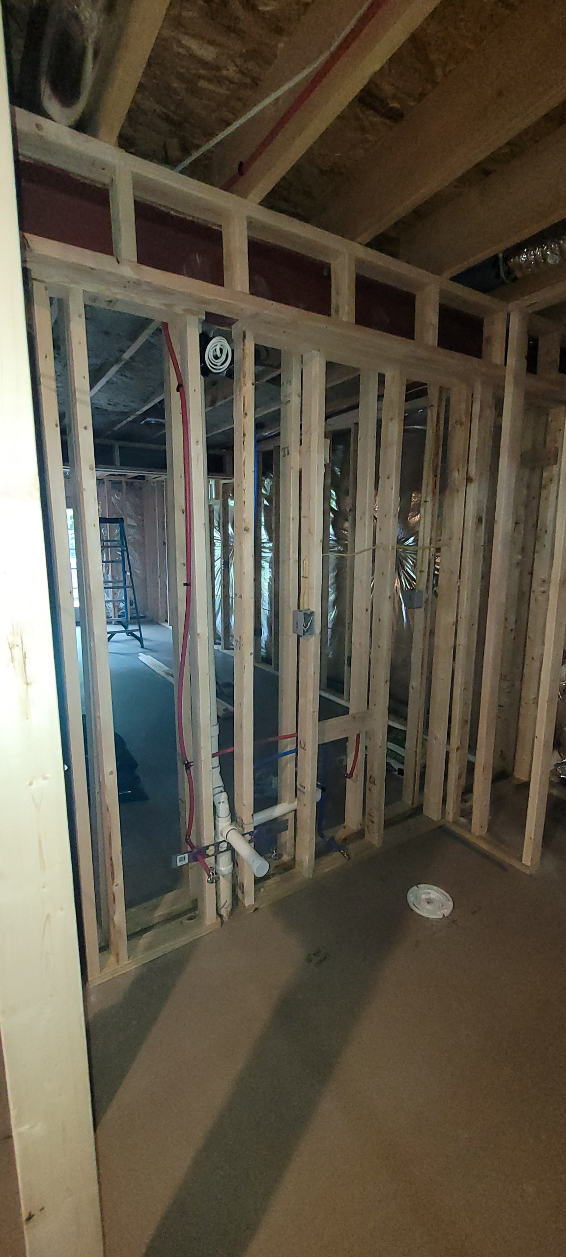 Bunts basement Louisa