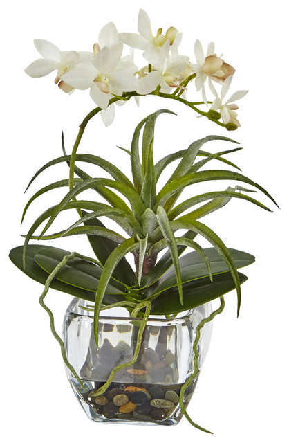 Orchid and Succulent Mixed Arrangement With Glass Vase