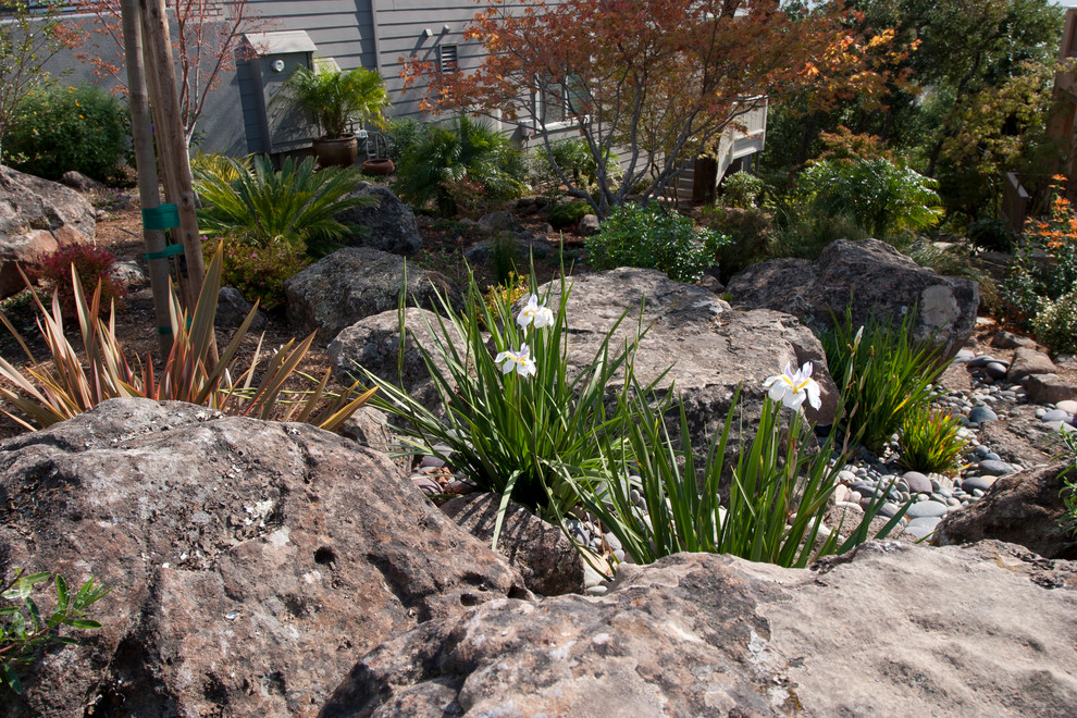 Inspiration for a mid-sized asian front yard garden in San Francisco with with pond and natural stone pavers.