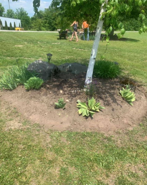 Landscaping