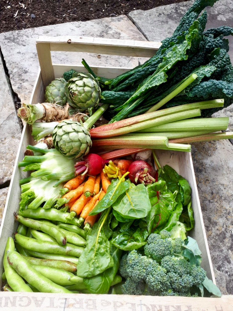 Vegetable Garden Maintenance Project