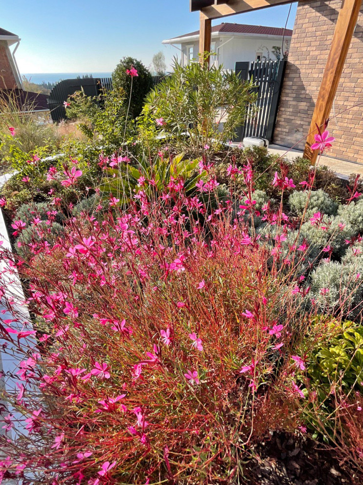 В лучах южного солнца.