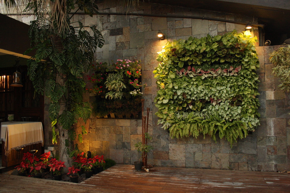 Photo of a tropical garden in Pune with a vertical garden and decking.