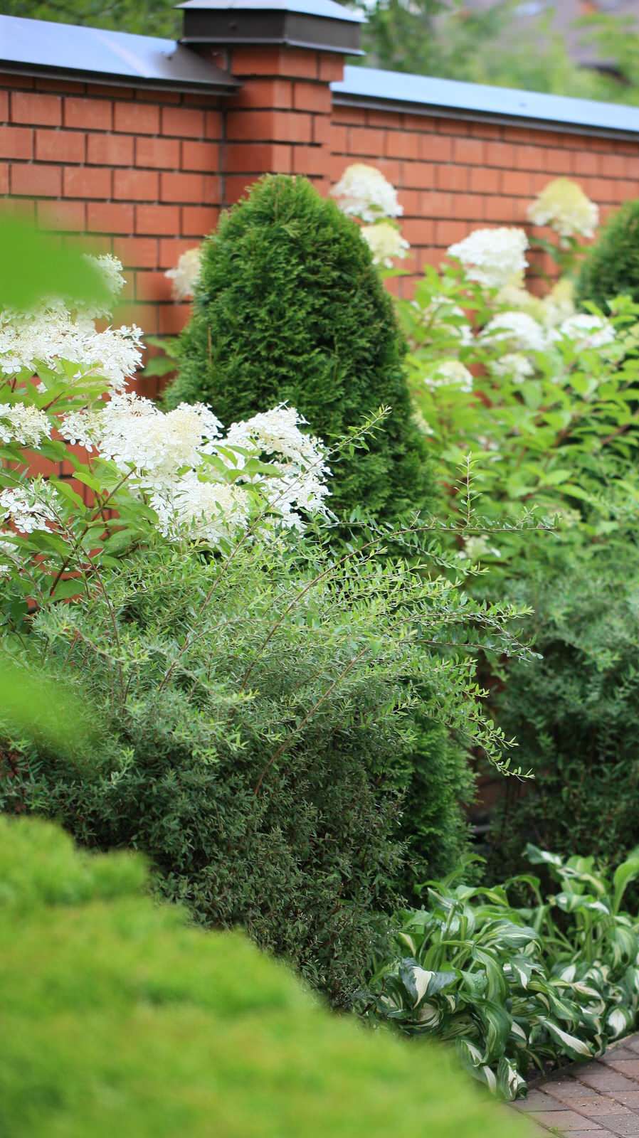 Сад Флориста