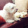 john_carr38