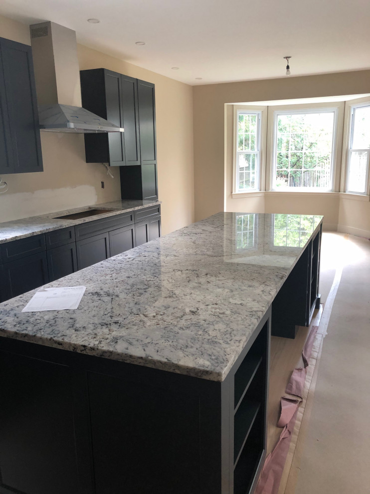 Arlington whole house remodel