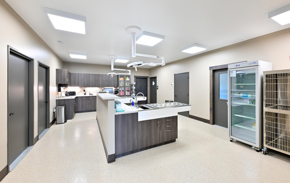 Ashland Vet Project