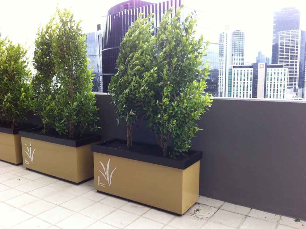 Inspiration for a contemporary patio in Melbourne.