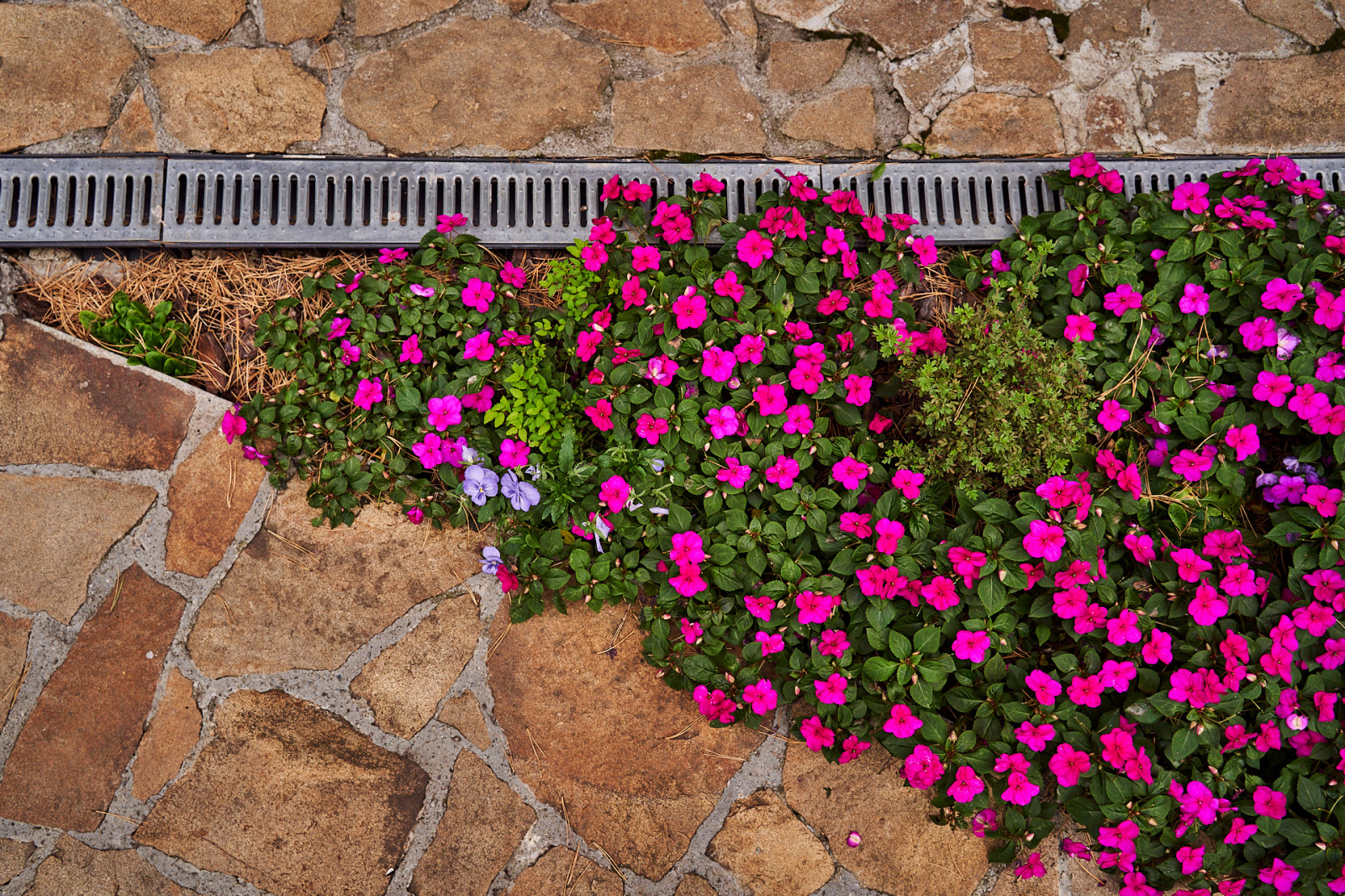 Простор и комфорт загородной жизни