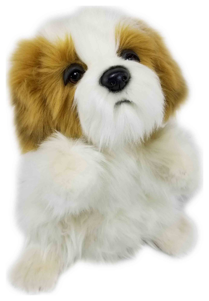 hansa shih tzu