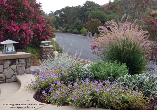 Plant Combinations - Northern California Gardens american-traditional-garden