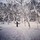 scott_vincin
