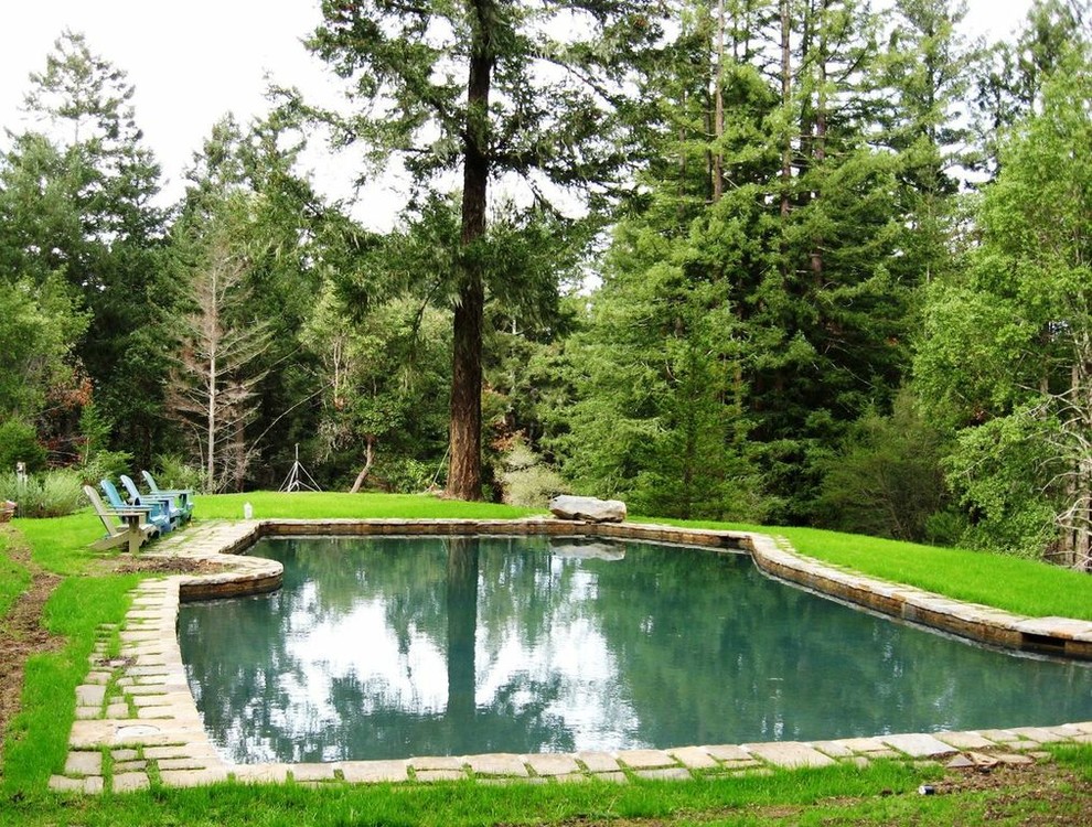 Country backyard custom-shaped pool in San Francisco.