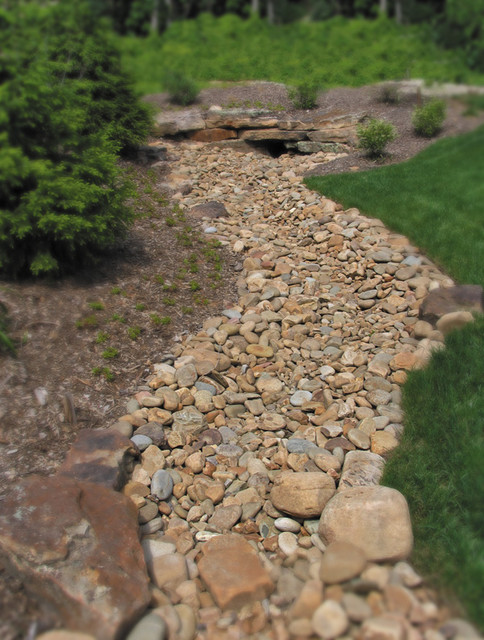 Natural Landscape - Dry Creeks - Traditional - Landscape - st louis ...