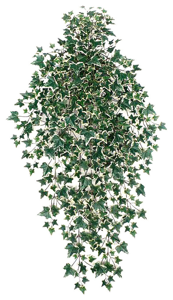 Silk English Ivy Hanging Bush 39" x 18 with 701 Leaves Fake Ivy House Plant  - Traditional - Artificial Plants And Trees - by AT HOME FLORAL | Houzz