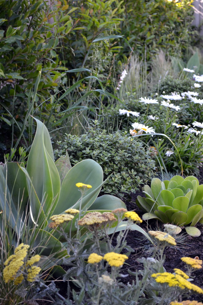 Kleiner Moderner Garten mit Pflastersteinen in Orange County