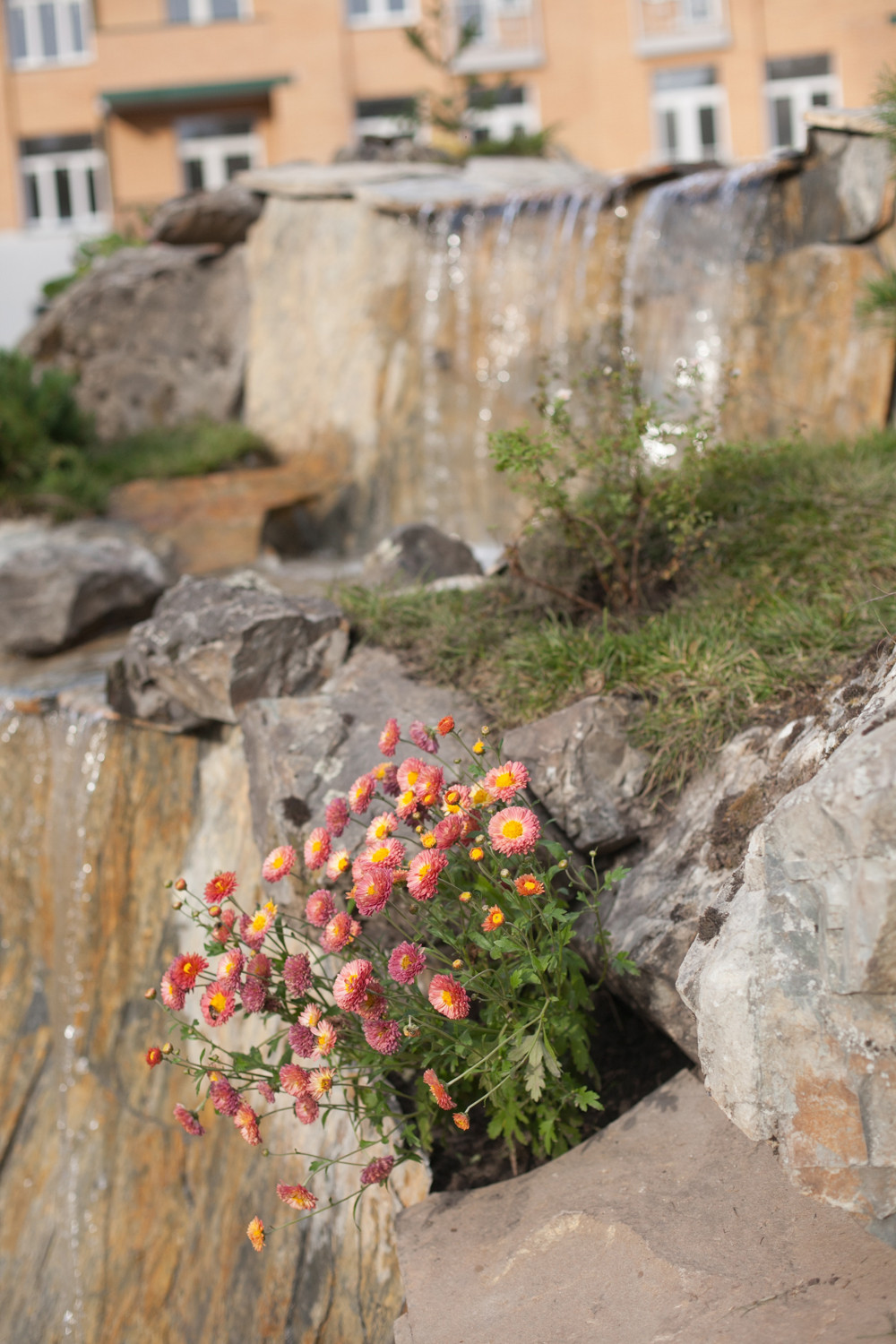 ЖК "Петровский"