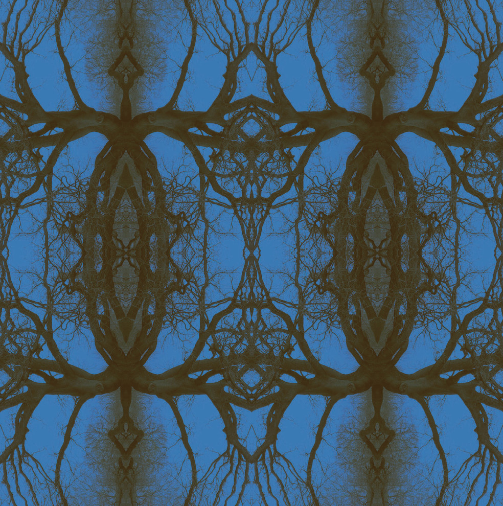 Kleines Retro Gästezimmer mit weißer Wandfarbe, braunem Holzboden, braunem Boden und Tapetenwänden in Hannover