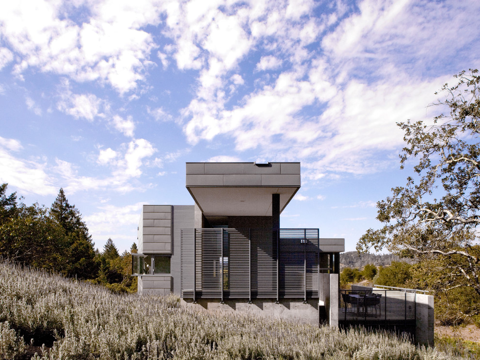 Inspiration for a modern exterior home remodel in San Francisco