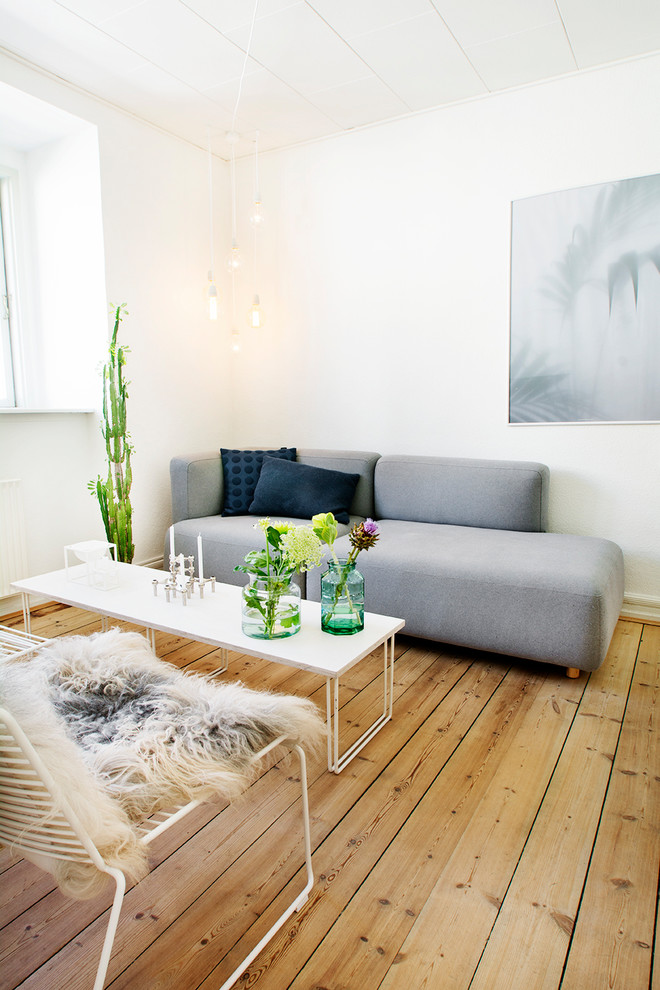 This is an example of a scandinavian living room.