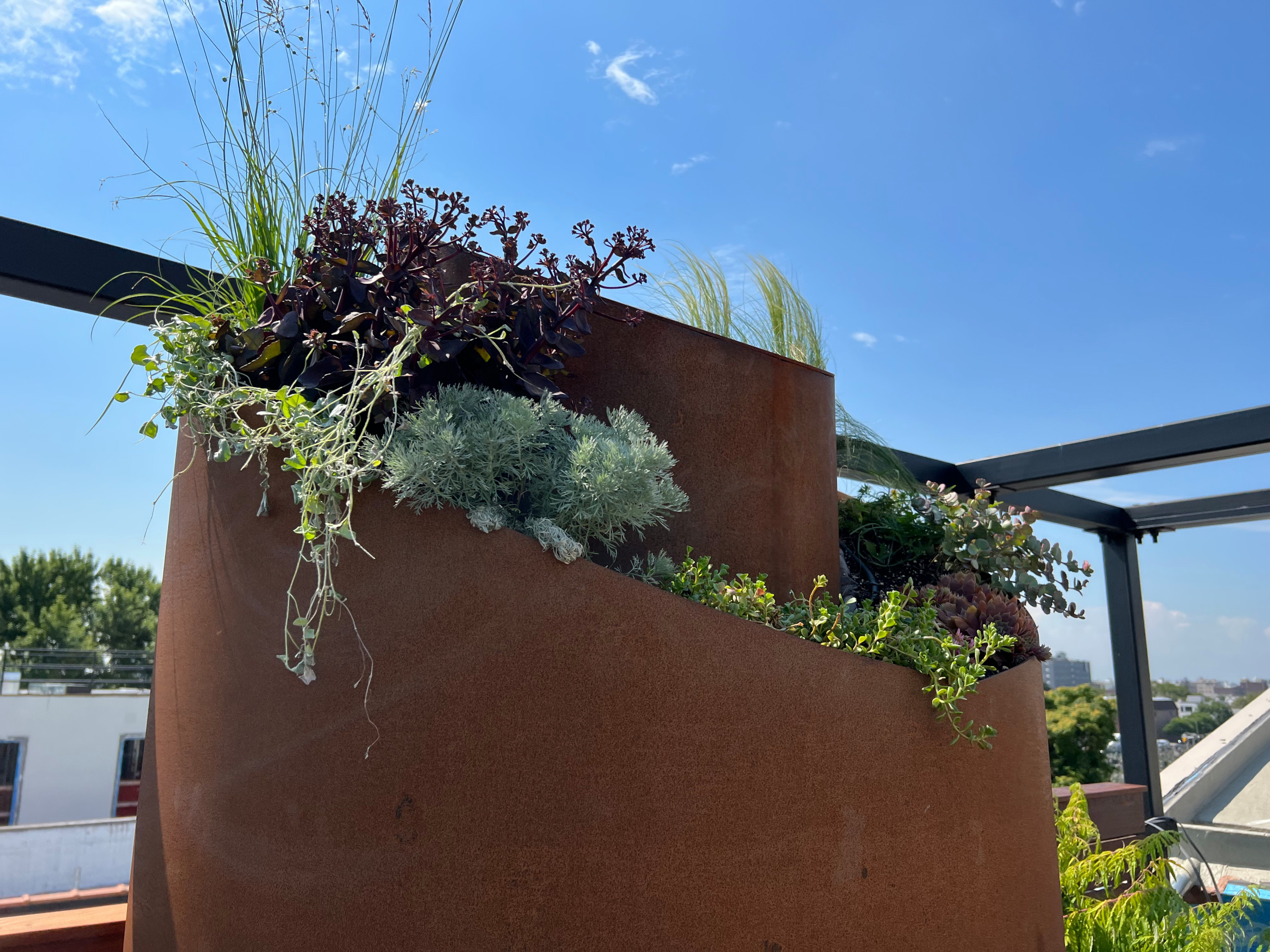 Borough Park Modern Rooftop