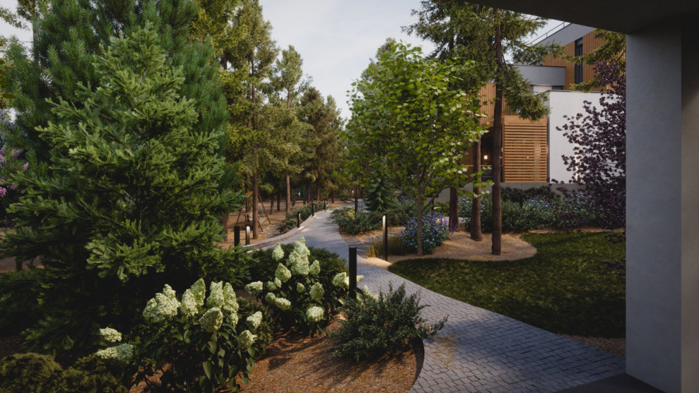 Завораживающий лес