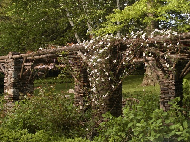 Cascading Jasmine on the Pergola rustico-jardin