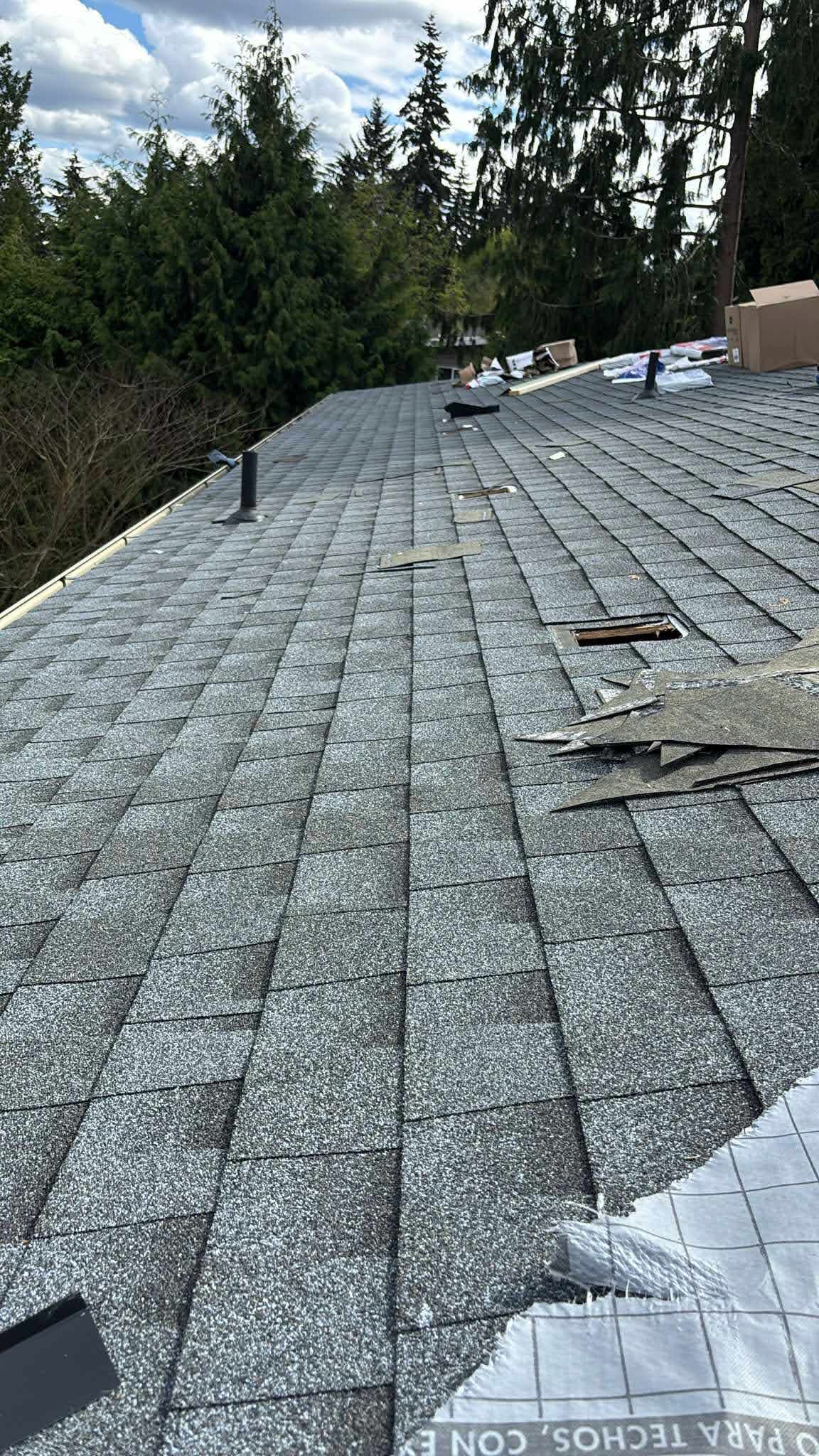 Roof Replacement