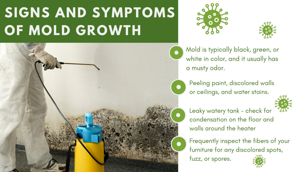 Signs and Symptoms of Mold Growth