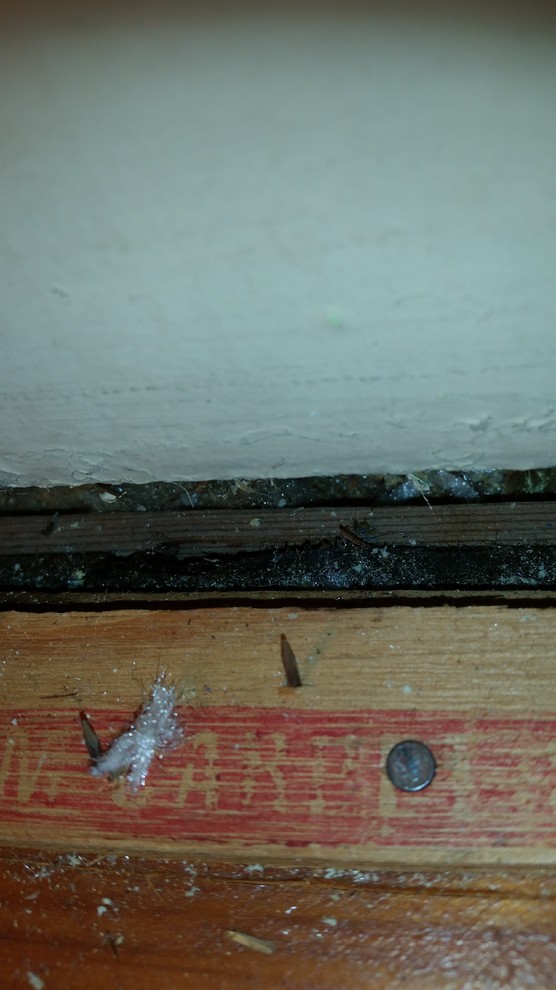 Advice on original tongue and groove floor / subfloor. PLEASE