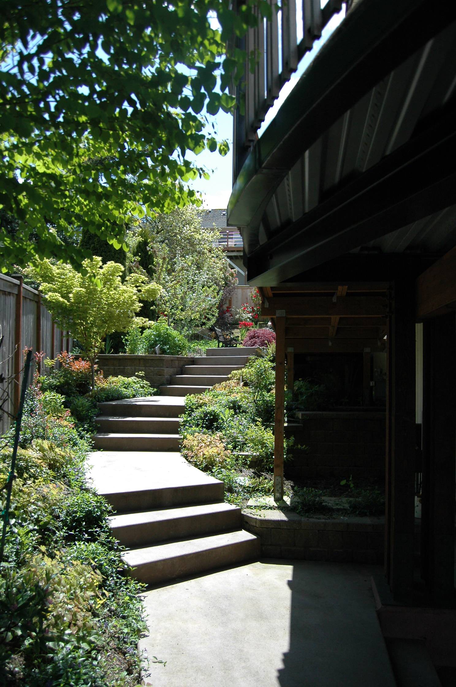 Winding walkway and steps to rear garden