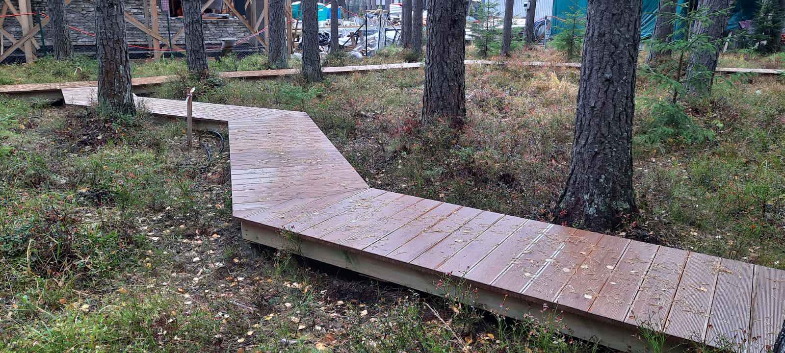 Текущий проект: Охта-Парк