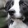 Last commented by Lisa Pinette