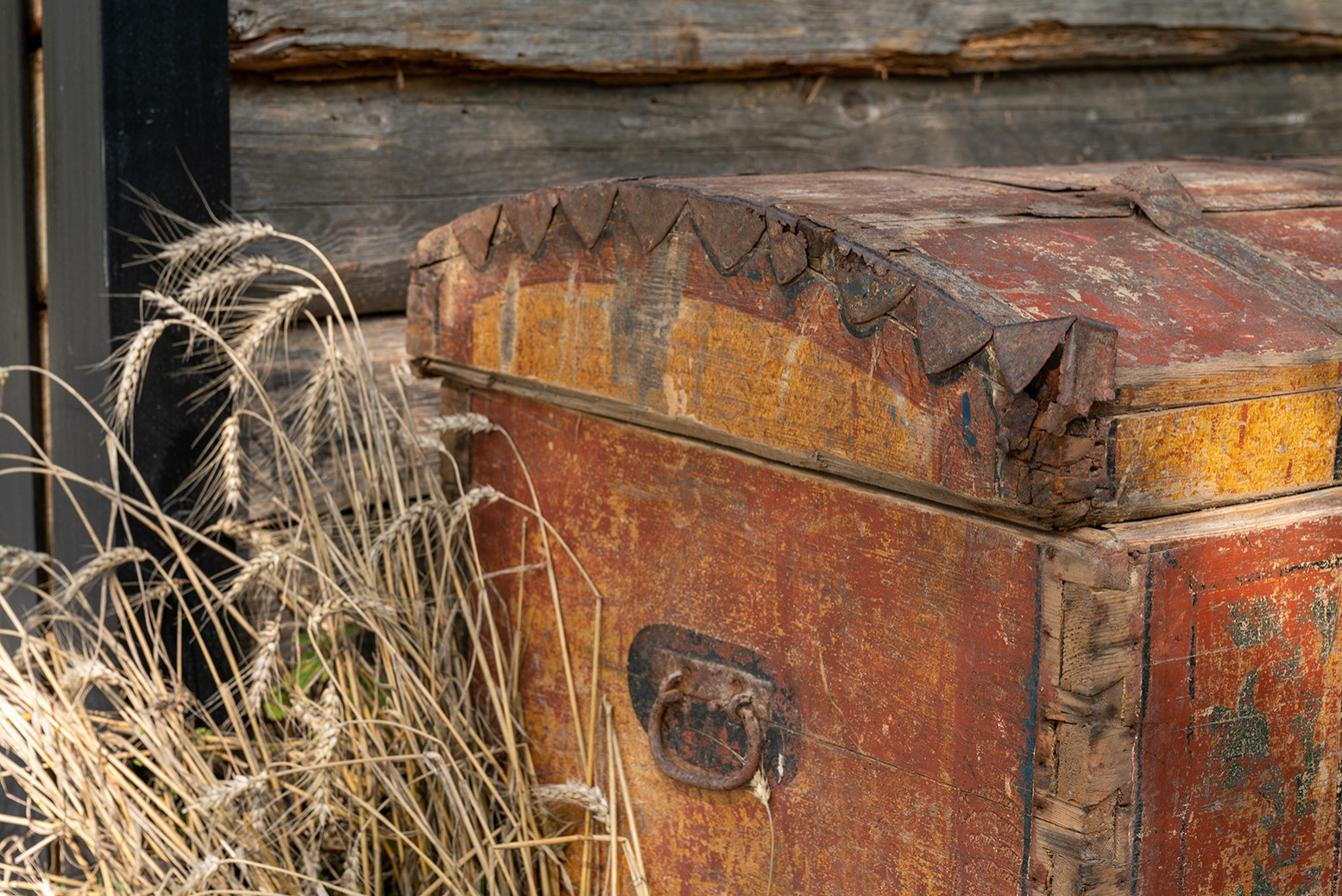 Фотосъемка Выставочного Сада на САДЫ и  ЛЮДИ   2019   -  Сад Наследие . ГРАН-ПРИ