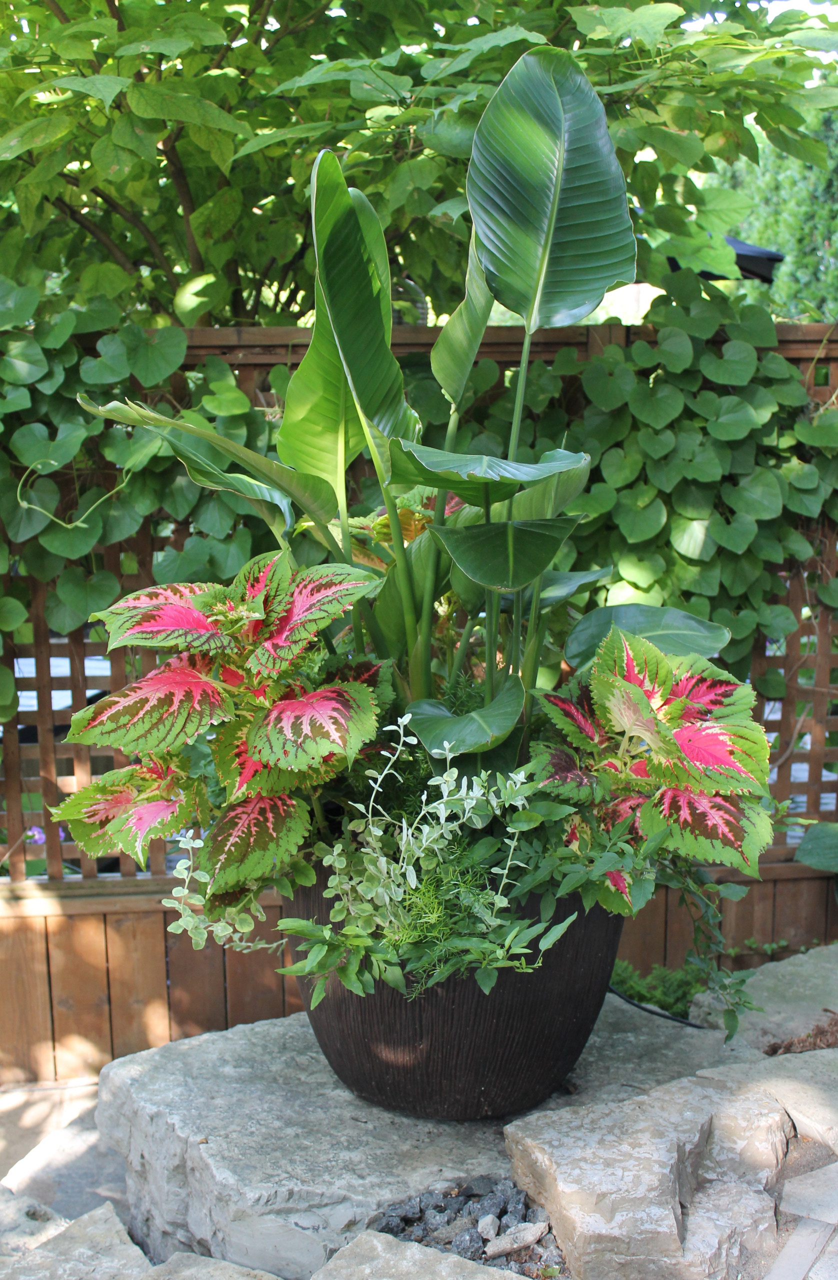 14 Beautiful Container Gardens for Shady Spots