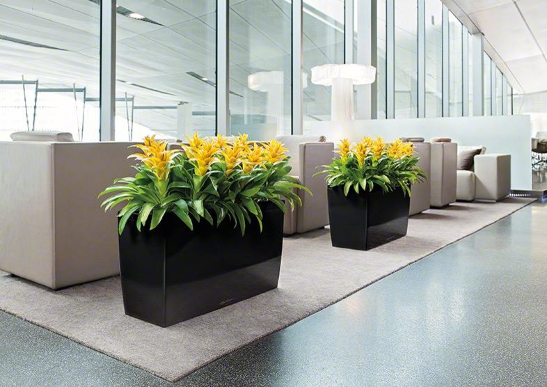 На вершине моды!