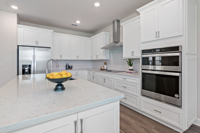Lakeview Preserve contemporary-kitchen