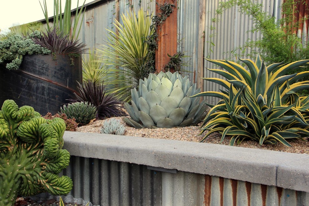 This is an example of a mediterranean xeriscape in San Luis Obispo with a retaining wall and gravel.