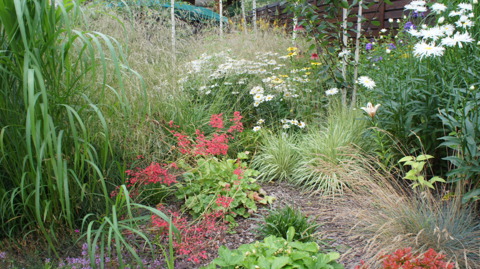 Прохорово лето 2017