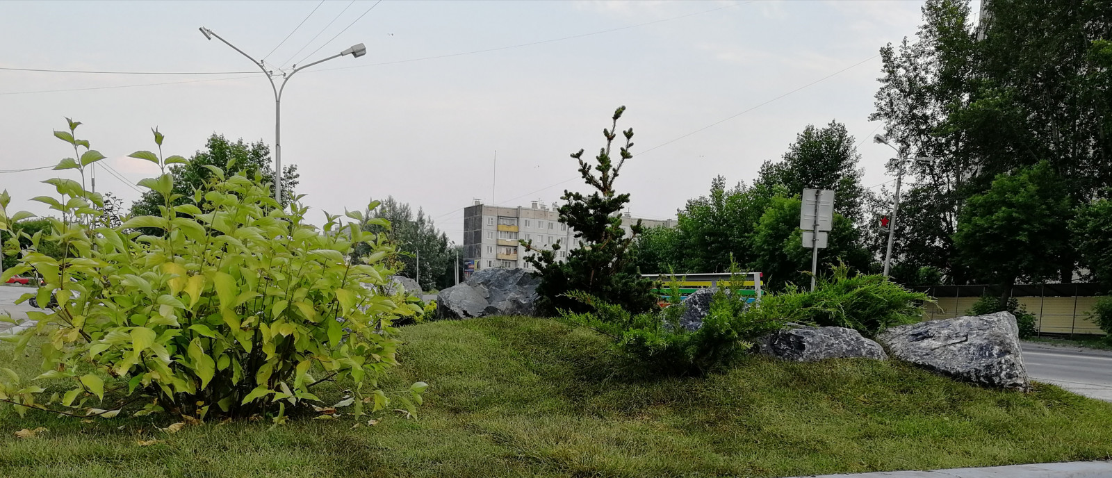 Озеленение площадки перед торговым центром.