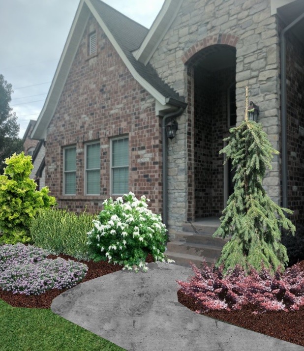 Foundation Plantings