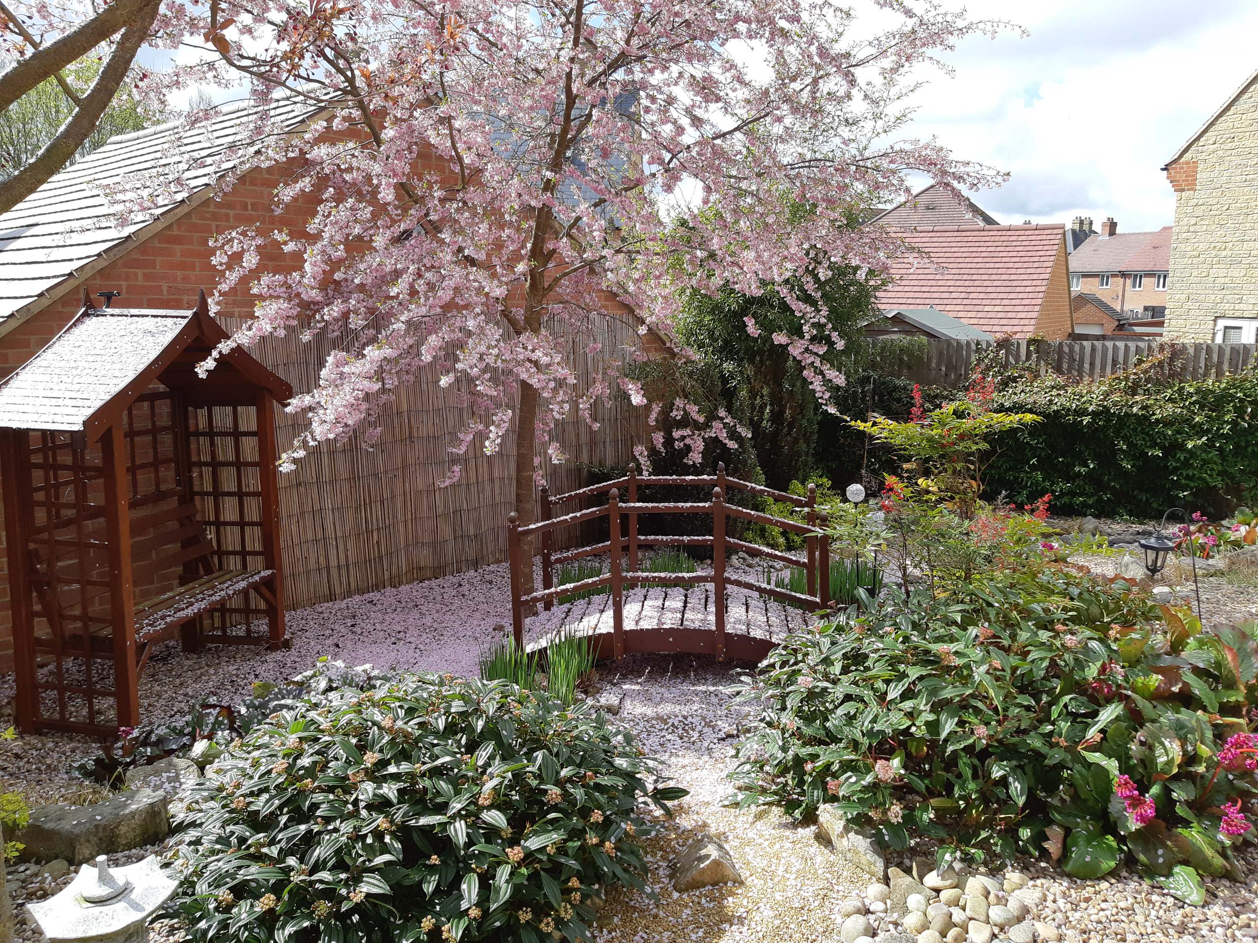 Japanese style garden