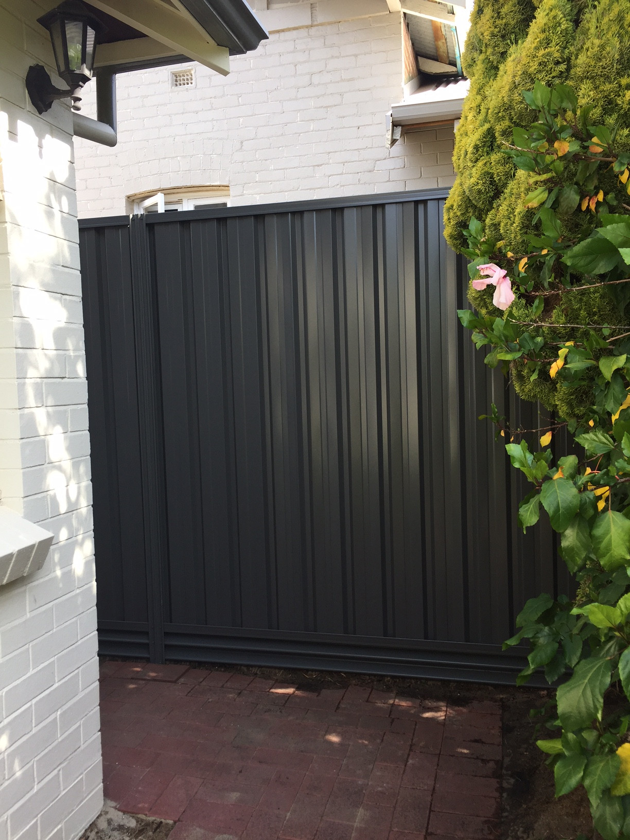 Colorbond Fencing Timber Fencing Which Is Right For You?, 40 OFF